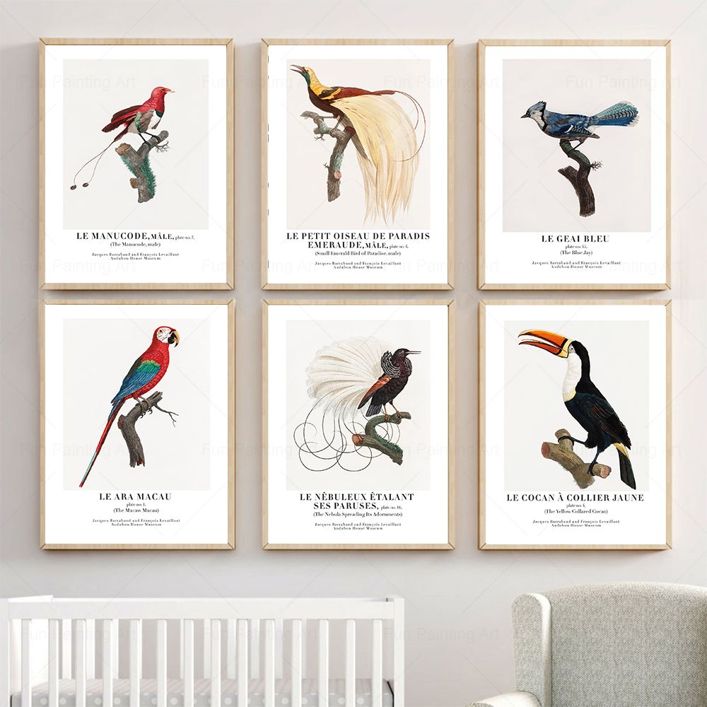 Vintage Paradise Bird Wall Art - Furniture Paradise & Hardware Ghaziabad By Owner ulasan dan harga