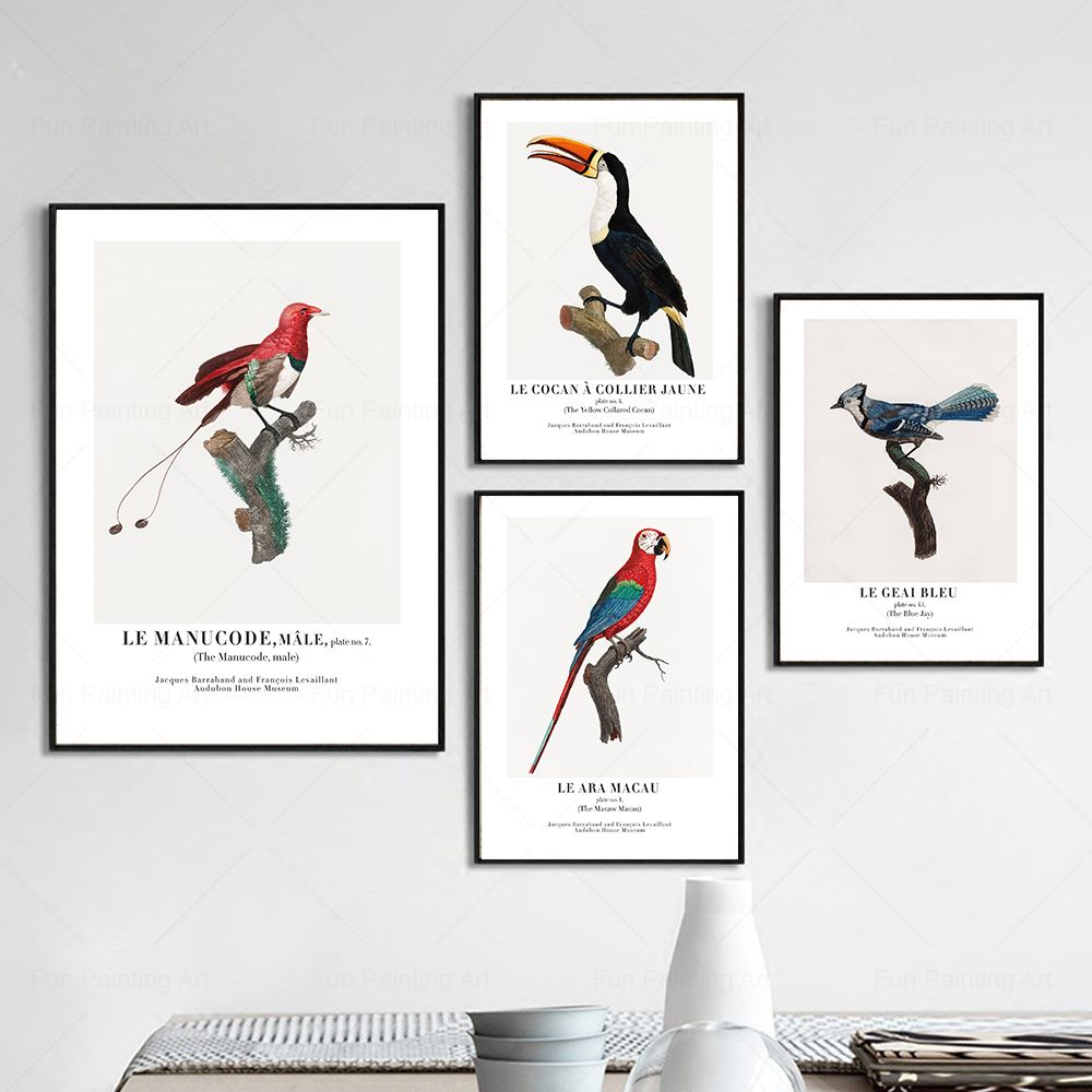 Vintage Paradise Bird Wall Art - Furniture Paradise & Hardware Ghaziabad By Owner ulasan dan harga