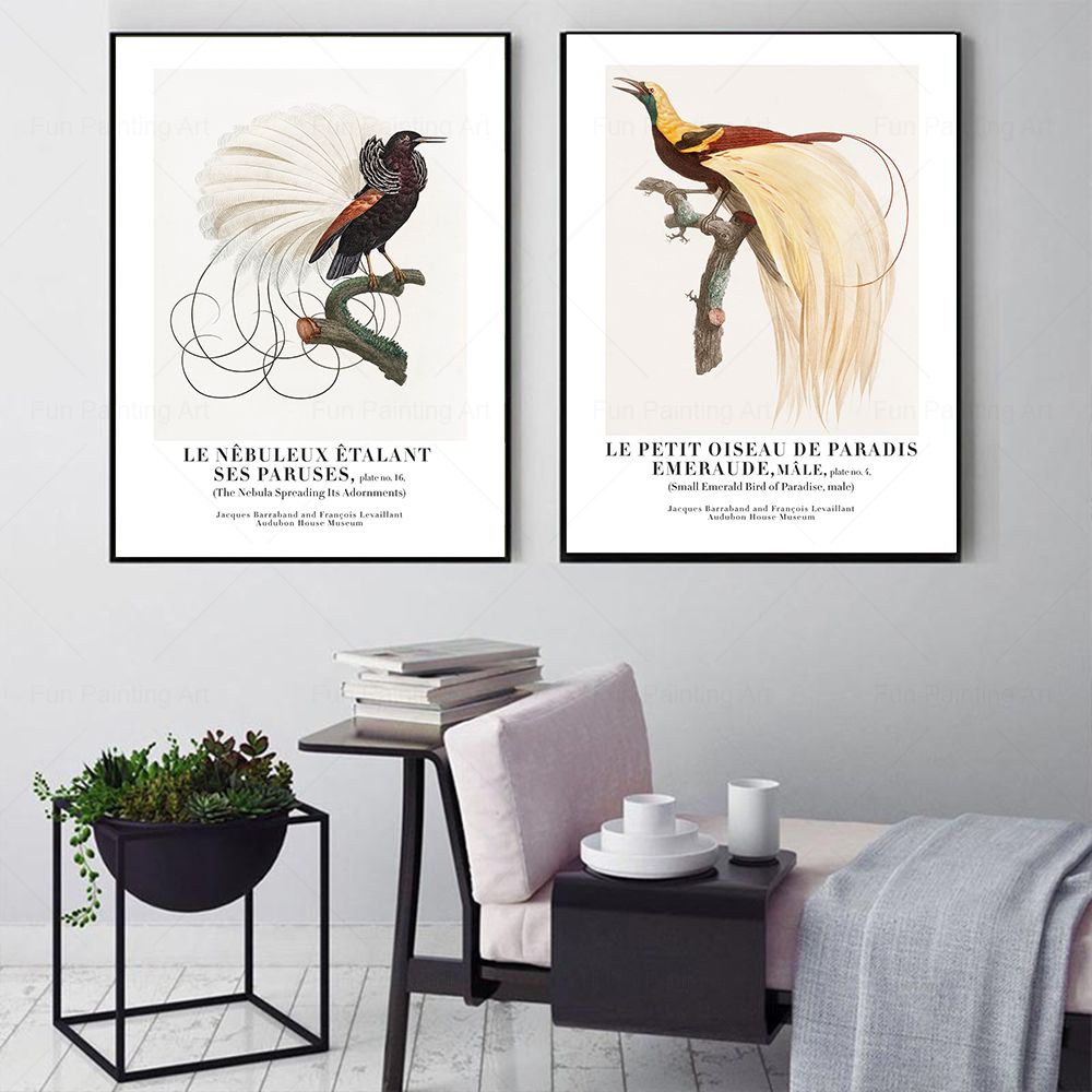 Vintage Paradise Bird Wall Art - Furniture Paradise & Hardware Ghaziabad By Owner ulasan dan harga