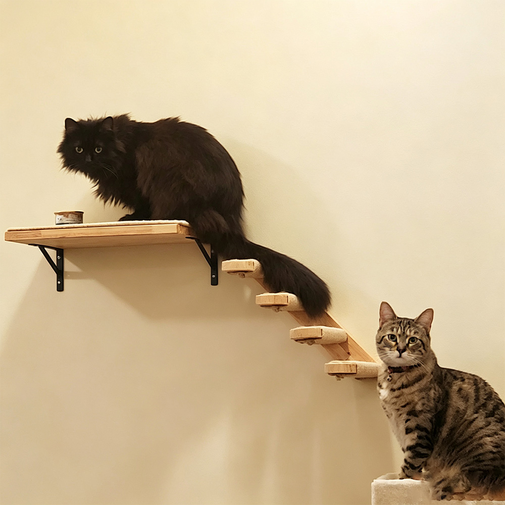 Cat Furniture Solid Wooden Sus - Furniture Paradise & Hardware Ghaziabad By Owner ulasan dan harga